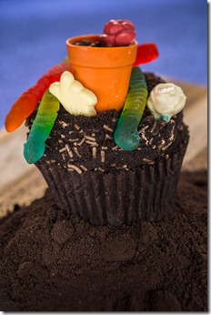 Limited Time Magic Desserts cupcake with worm