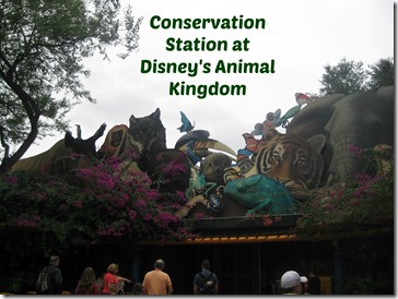 Conservation Station at Disney's Animal Kingdom