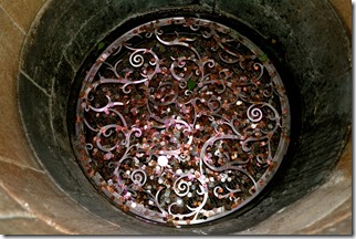 coins in well