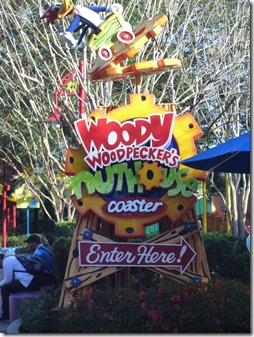 Woody Coaster