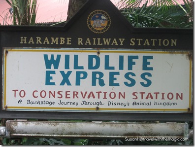 Conservation Station Train Station
