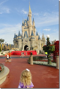 Quiet Disney World Castle - Copy