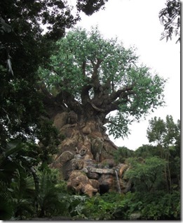 4. What Park Should We Visit First- Animal Kingdom’s Tree of Life