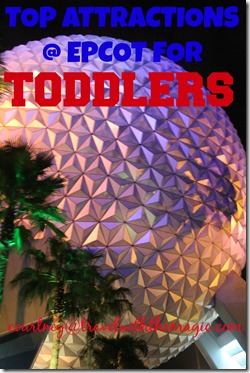 Attractions Epcot Cover