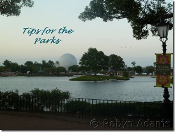 tips for the parks 1