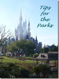 tips for the parks