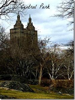 Central Park pic