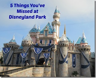 5 Things You Missed at Disneyland