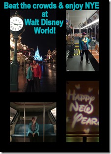 Beat the Crowds and Enjoy NYE at WDW!