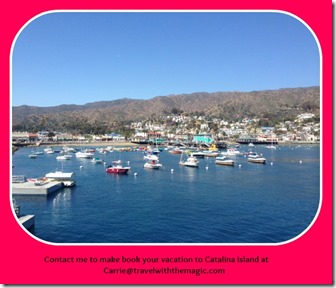 catalina island boat pic