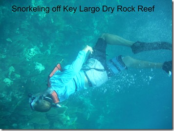 snorkeling off key largo dry rock reef