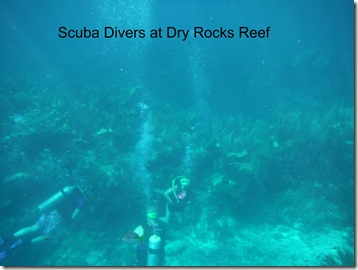 Scuba Divers at Dryer Rocks Reef