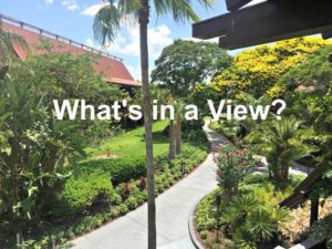 What's in a View? The different room categories at Disney World Resorts.