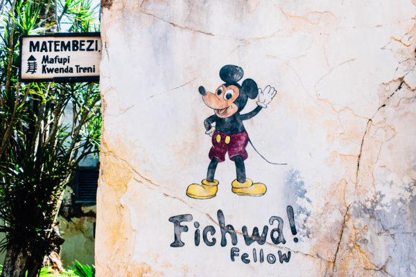 fichwafellow-wall-at-animal-kingdom