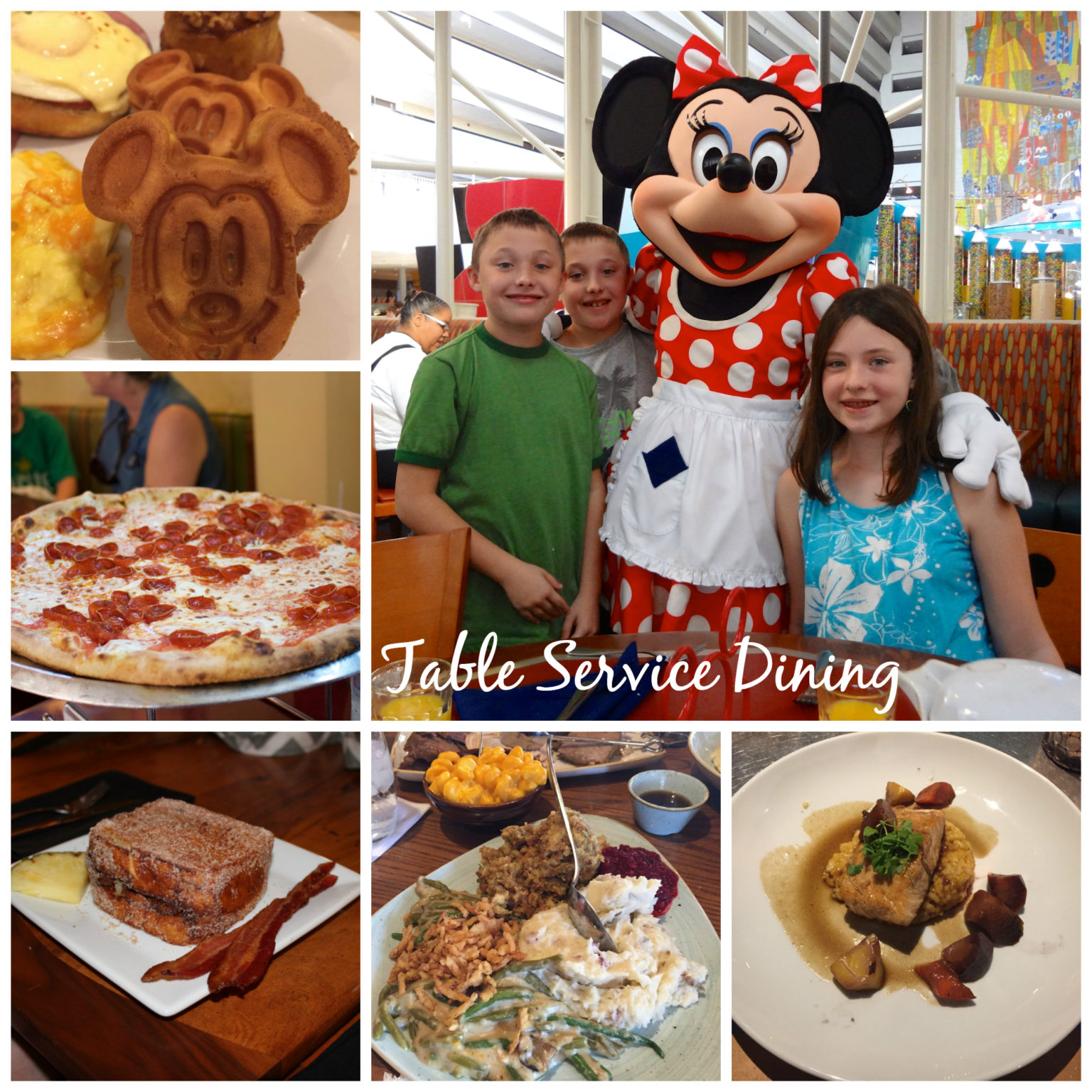 Walt Disney World: Common Questions Answered - Travel With The Magic ...