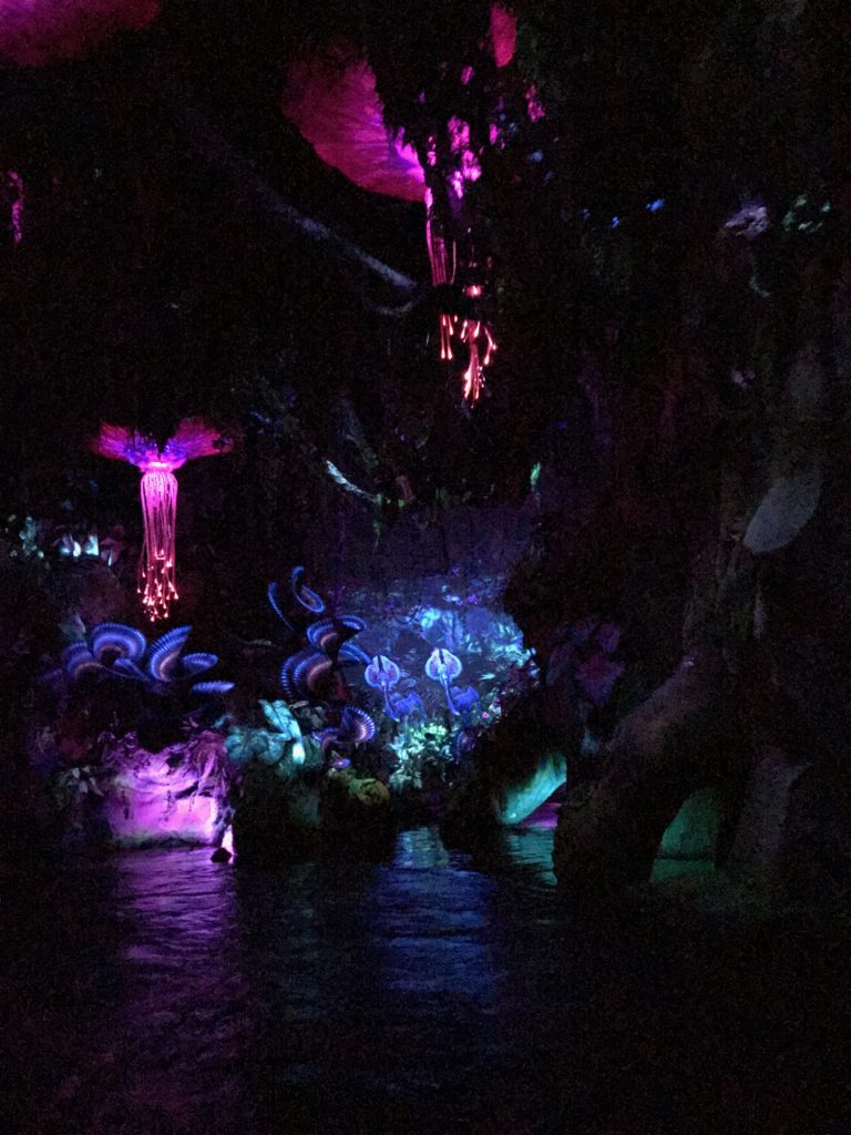 What You Need to Know Before Experiencing the Attractions in Pandora ...