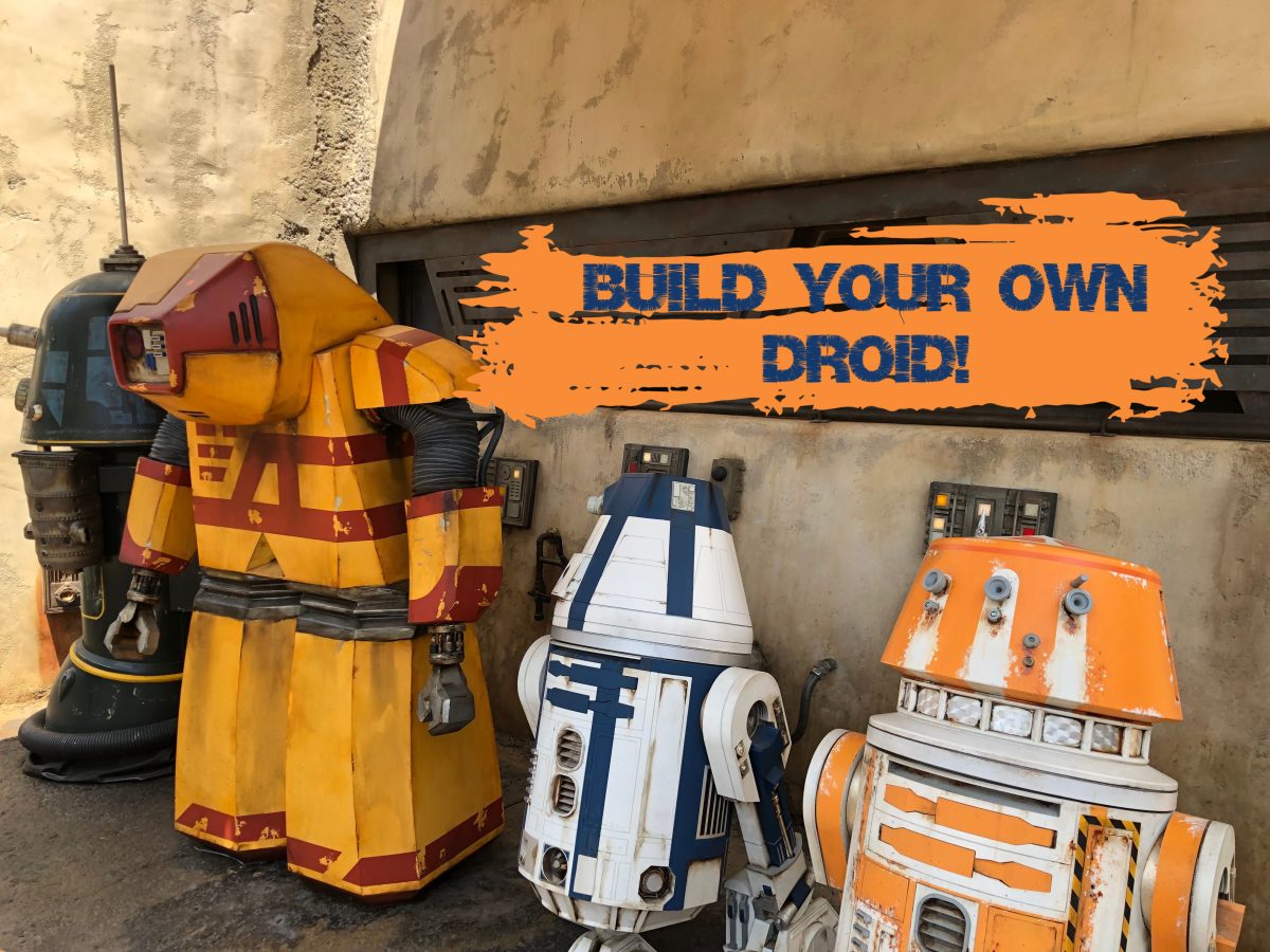 Droid Depot Travel With The Magic Travel Agent Disney Vacations