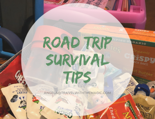 Road Trip Survival Tips