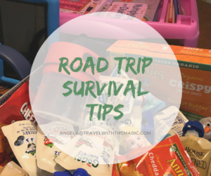 Road Trip Survival Tips