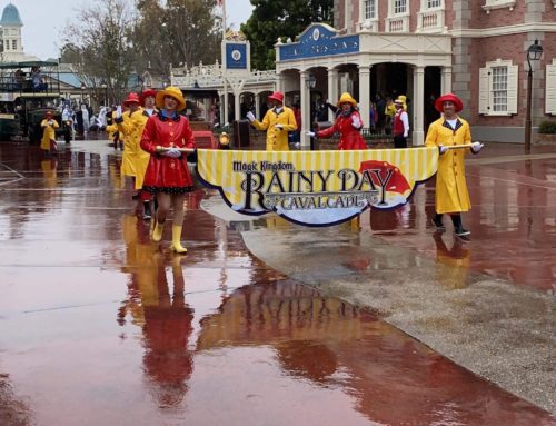 Navigating Rainy Days at Disney