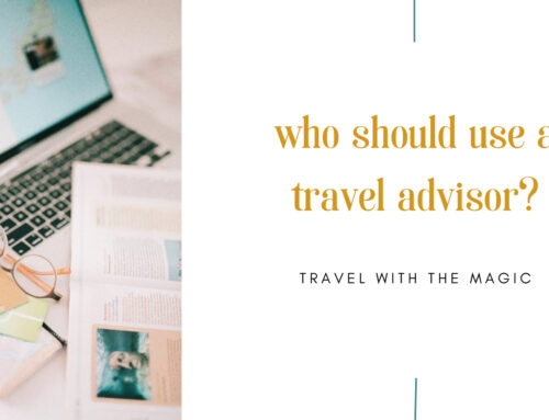Who should use a travel advisor?